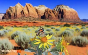 Are Painted Lady Butterflies In Southern Utah