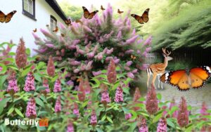 Do Deer Eat Butterfly Bushes