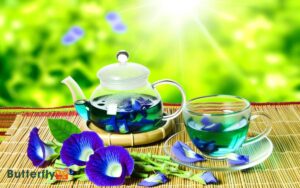 Does Butterfly Pea Tea Have Caffeine