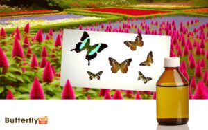 Does Neem Oil Kill Butterflies