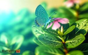 How Do Butterflies Maintain Homeostasis