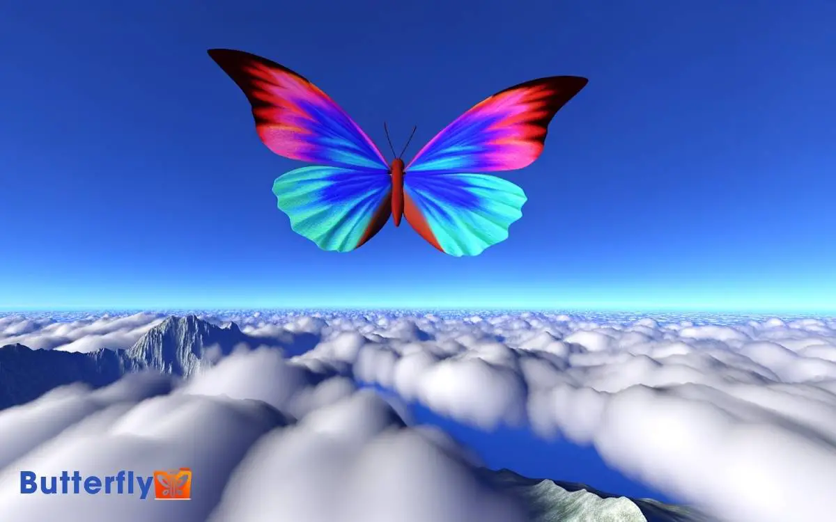 How High Can A Butterfly Fly? Up To 11