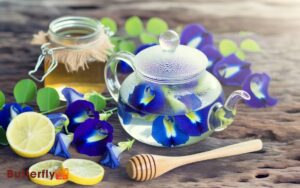 How To Make Butterfly Pea Tea