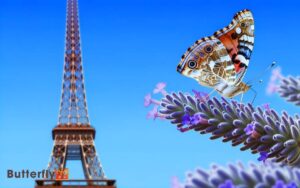 How To Say Butterfly In French