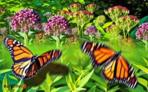 Growing Milkweed for Monarch Butterflies