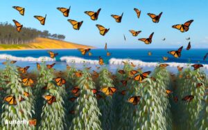 Migration of Monarch Butterflies in California