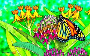 Monarch Butterfly by Gail Gibbons