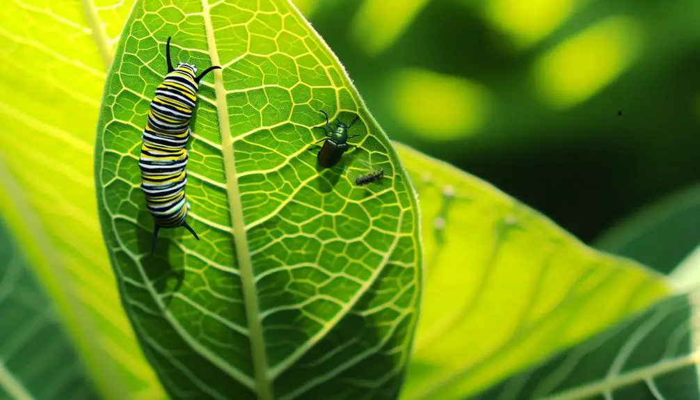 diverse insect species group