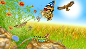 natural predators of butterflies