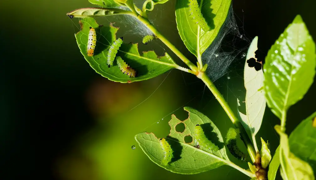 observing transformation in action