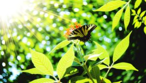 tiger swallowtail butterfly image