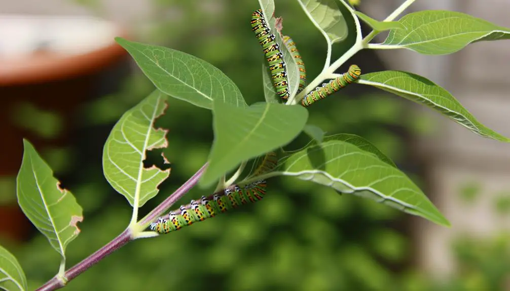 transforming into butterflies