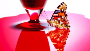 vibrant butterfly with liquid