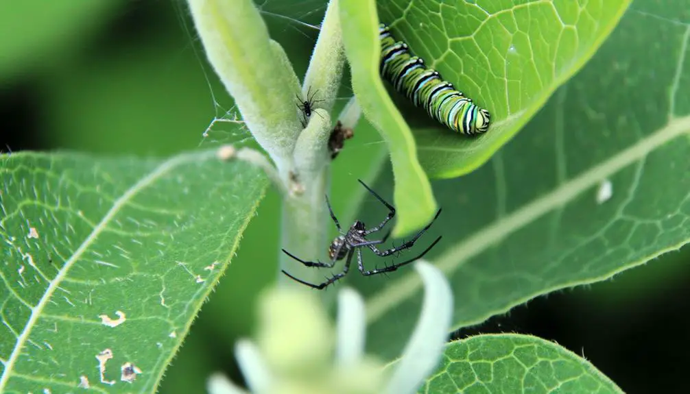 web weaving arachnid creatures