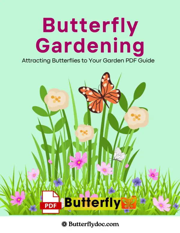 Butterfly Gardening Attracting Butterflies to Your Garden PDF Guide