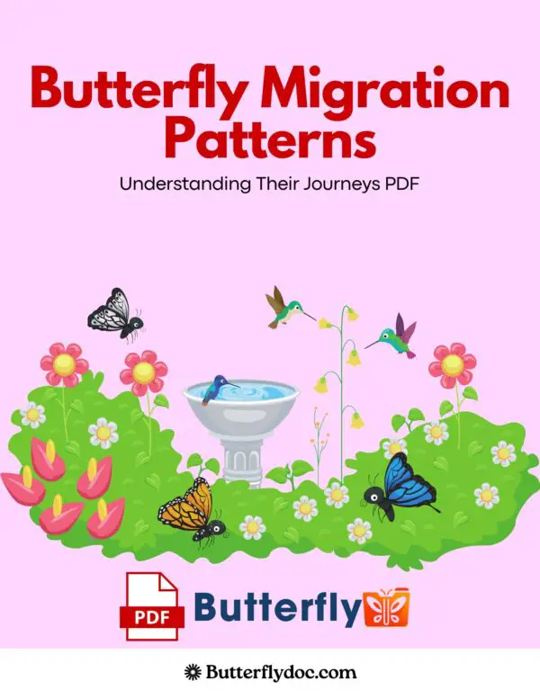 Butterfly Migration Patterns Understanding Their Journeys PDF