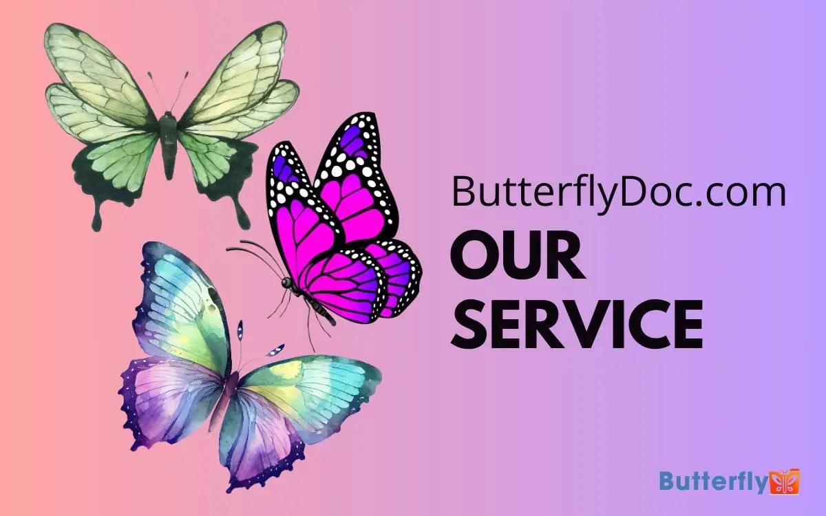 ButterflyDoc Service