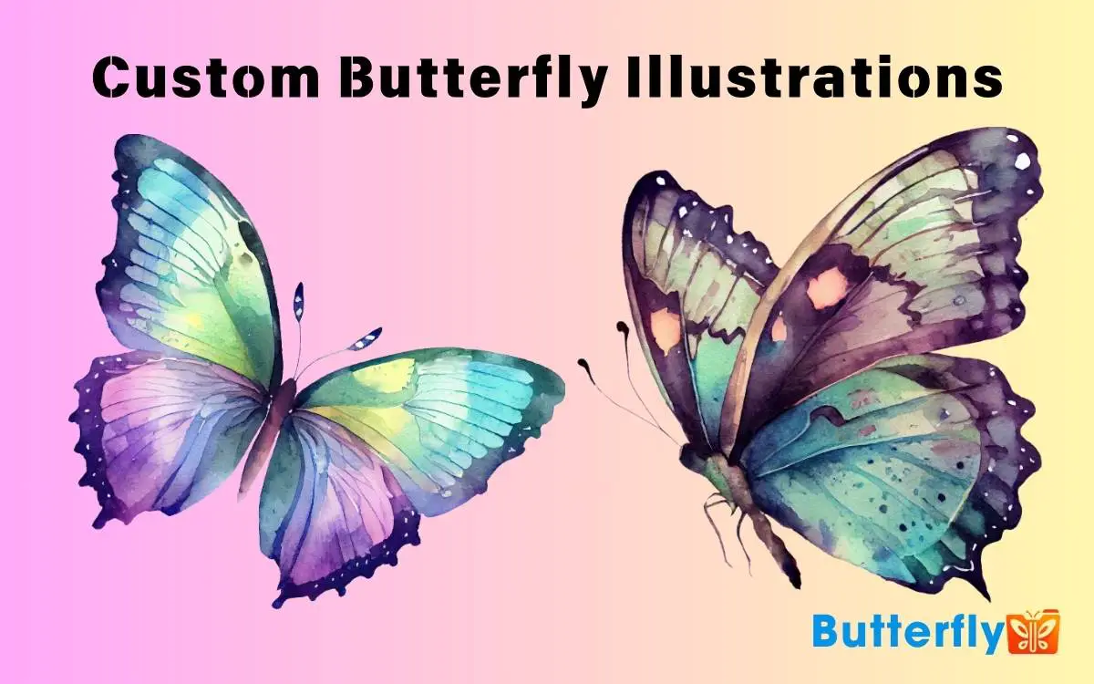 Custom Butterfly Illustrations