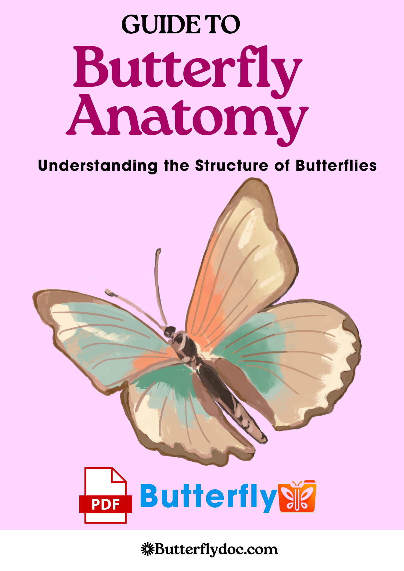 Guide to Butterfly Anatomy Understanding the Structure of Butterflies