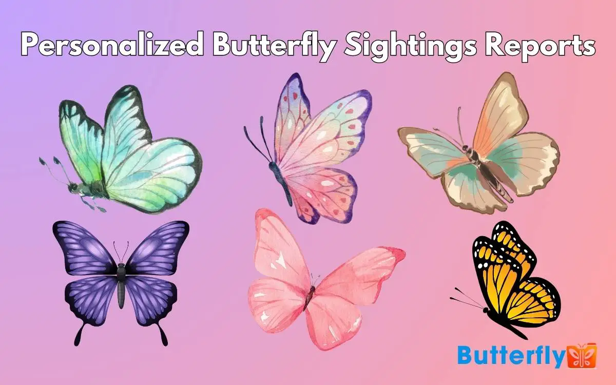 Personalized Butterfly Sightings Reports