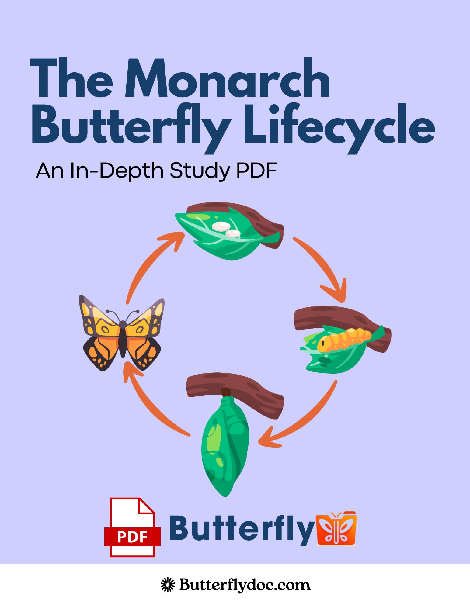 The Monarch Butterfly Lifecycle An In Depth Study PDF